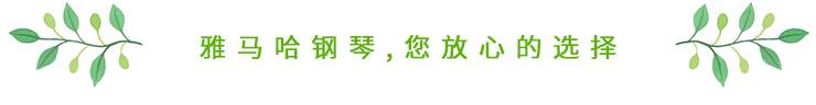 这才是真相：绿色关爱，必博的环境政策