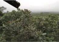 这才是真相：绿色关爱，必博的环境政策