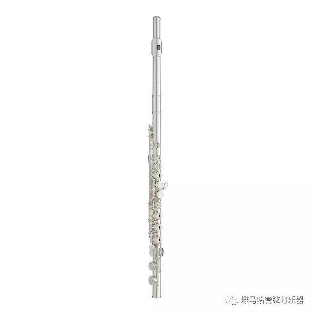 必博新风管长笛