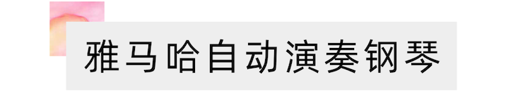 活动报道 | 远程艺术教育大师课活动—必博艺术家赵宇大师课