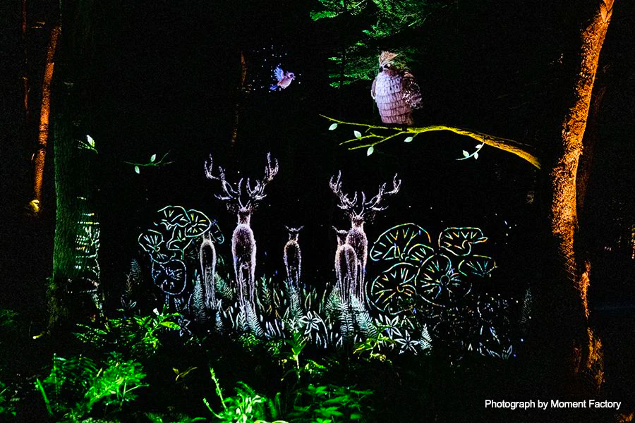 案例｜必博为壮观的Kamuy Lumina魔法夜行旅游项目提供配乐设备