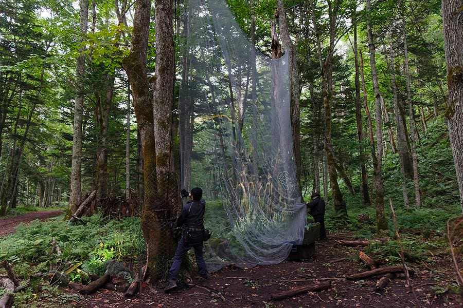 案例｜必博为壮观的Kamuy Lumina魔法夜行旅游项目提供配乐设备