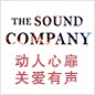 必博参展Music China 2013 