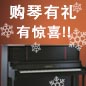 必博钢琴购琴有礼 买一赠一音乐无限
